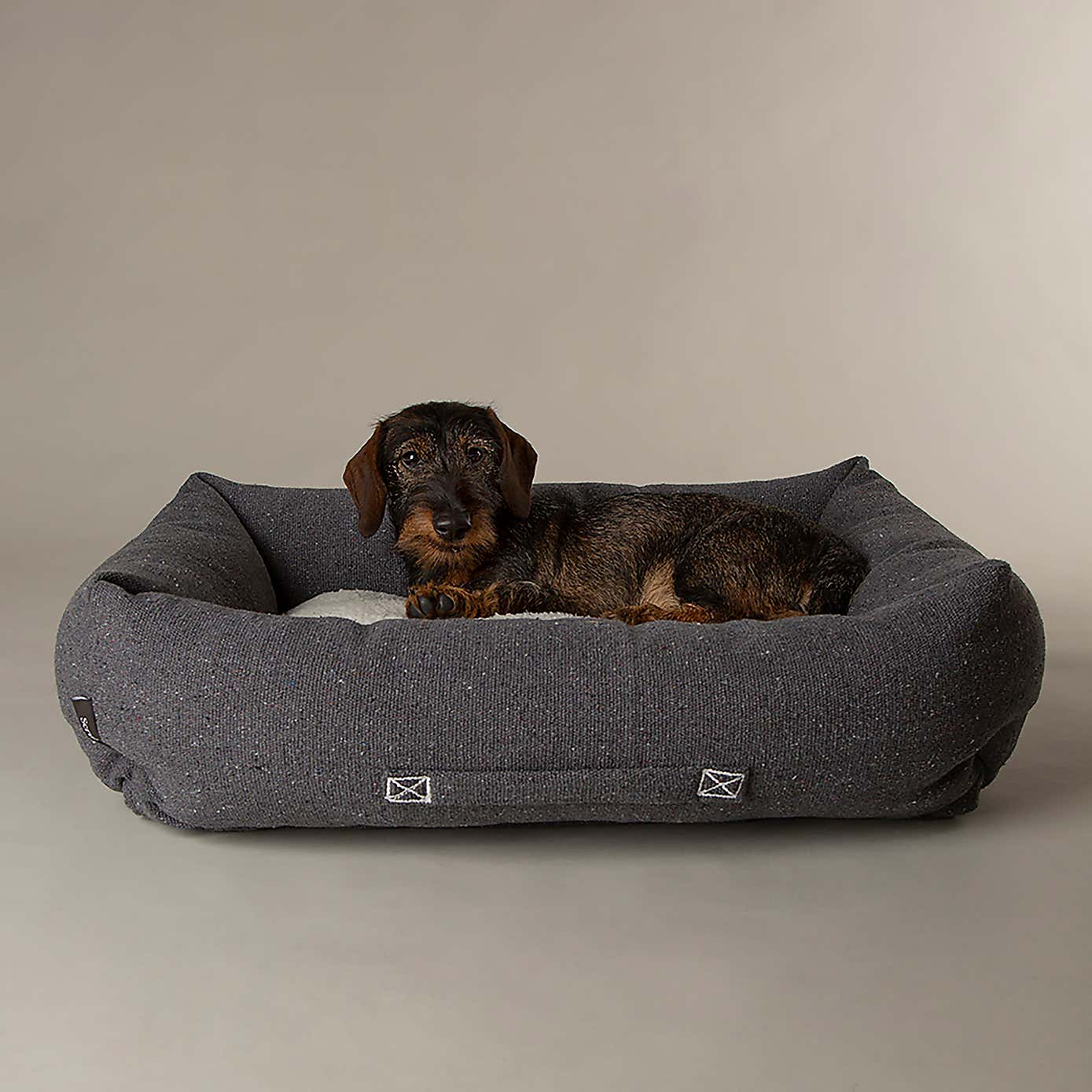 Scruffs 100% Recycled Eden Dog Box Bed