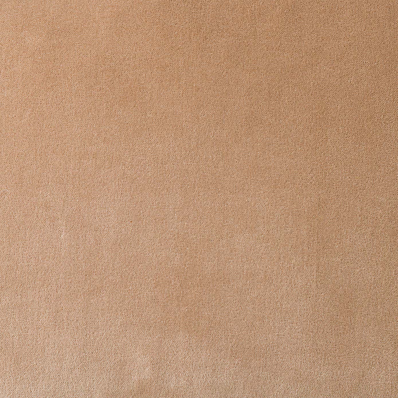 Clara Cotton Velvet Rectangular Cushion