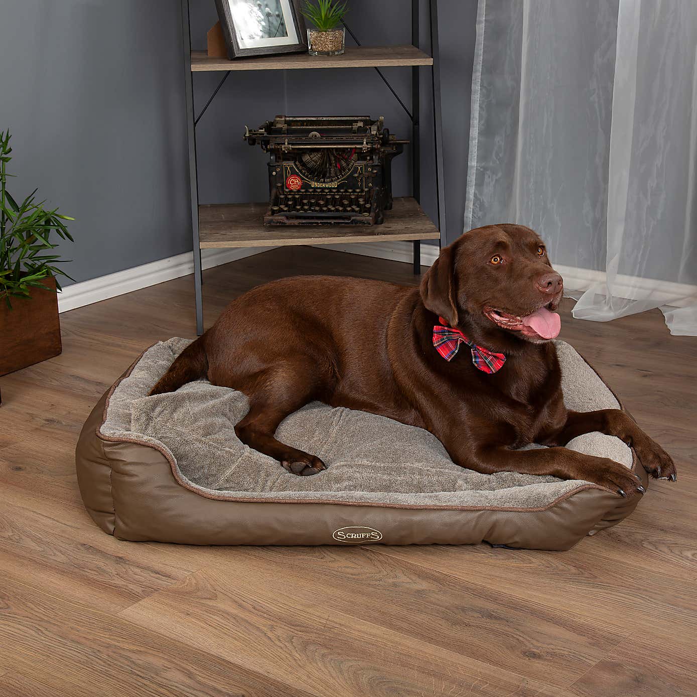 Scruffs Pet Chateau Memory Foam Orthopaedic Box Bed