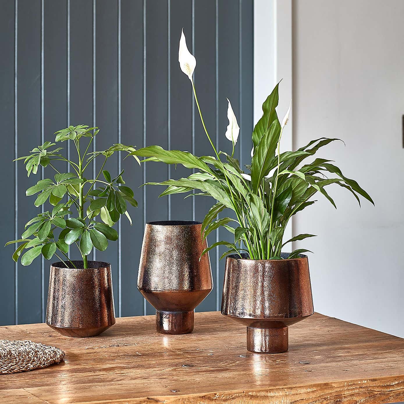 Opulent Tall Curved Metallic Glass Vase