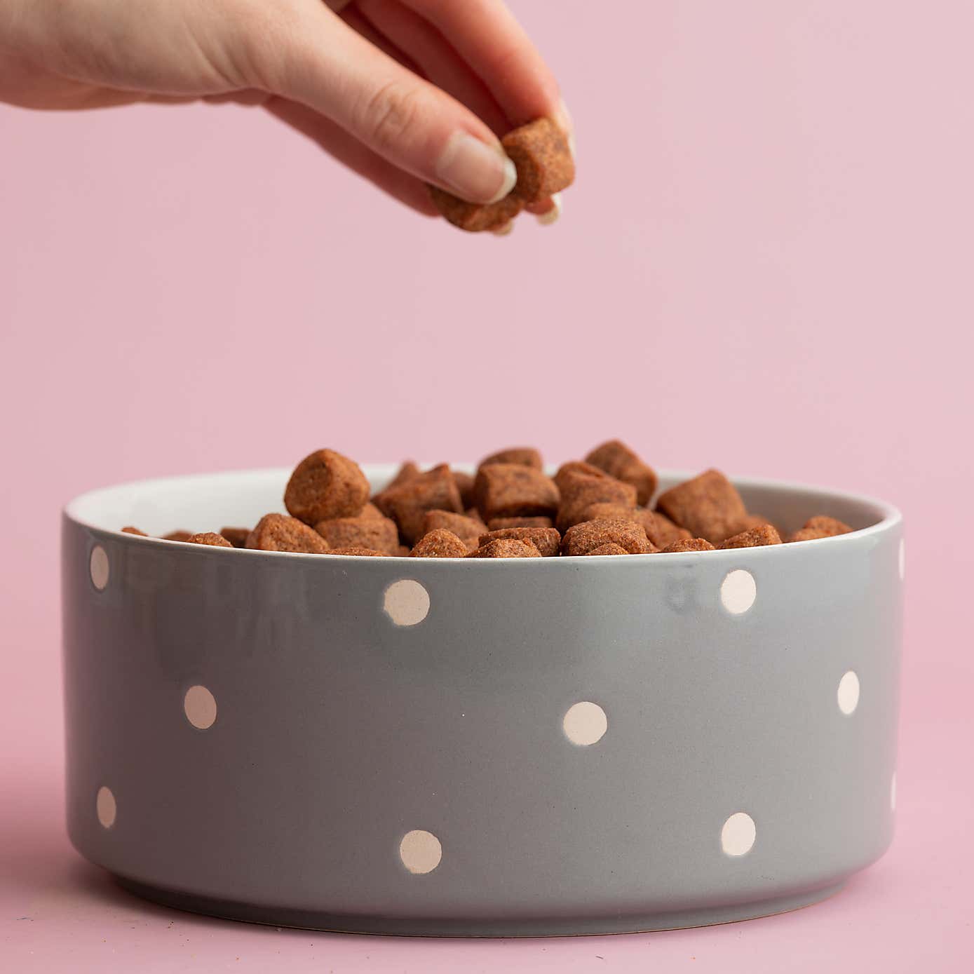 Mason Cash Set of 2 Spotty Pet Bowls