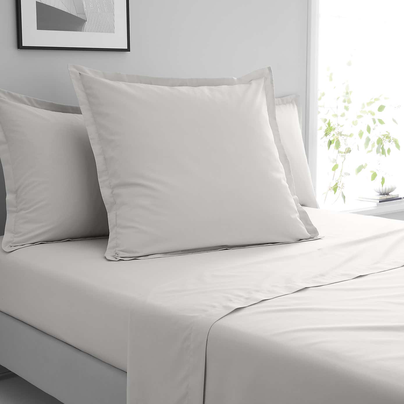 Pure Cotton Continental Square Pillowcase