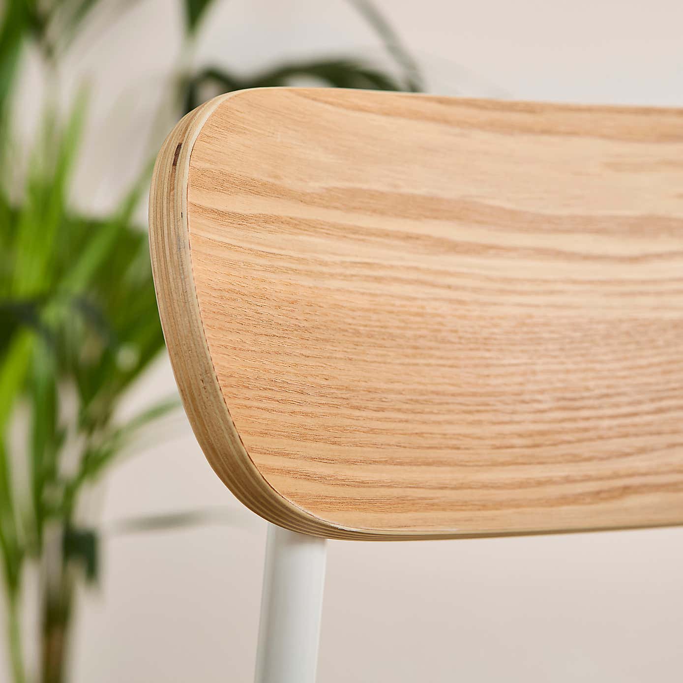 Elements Griffin Dining Chair