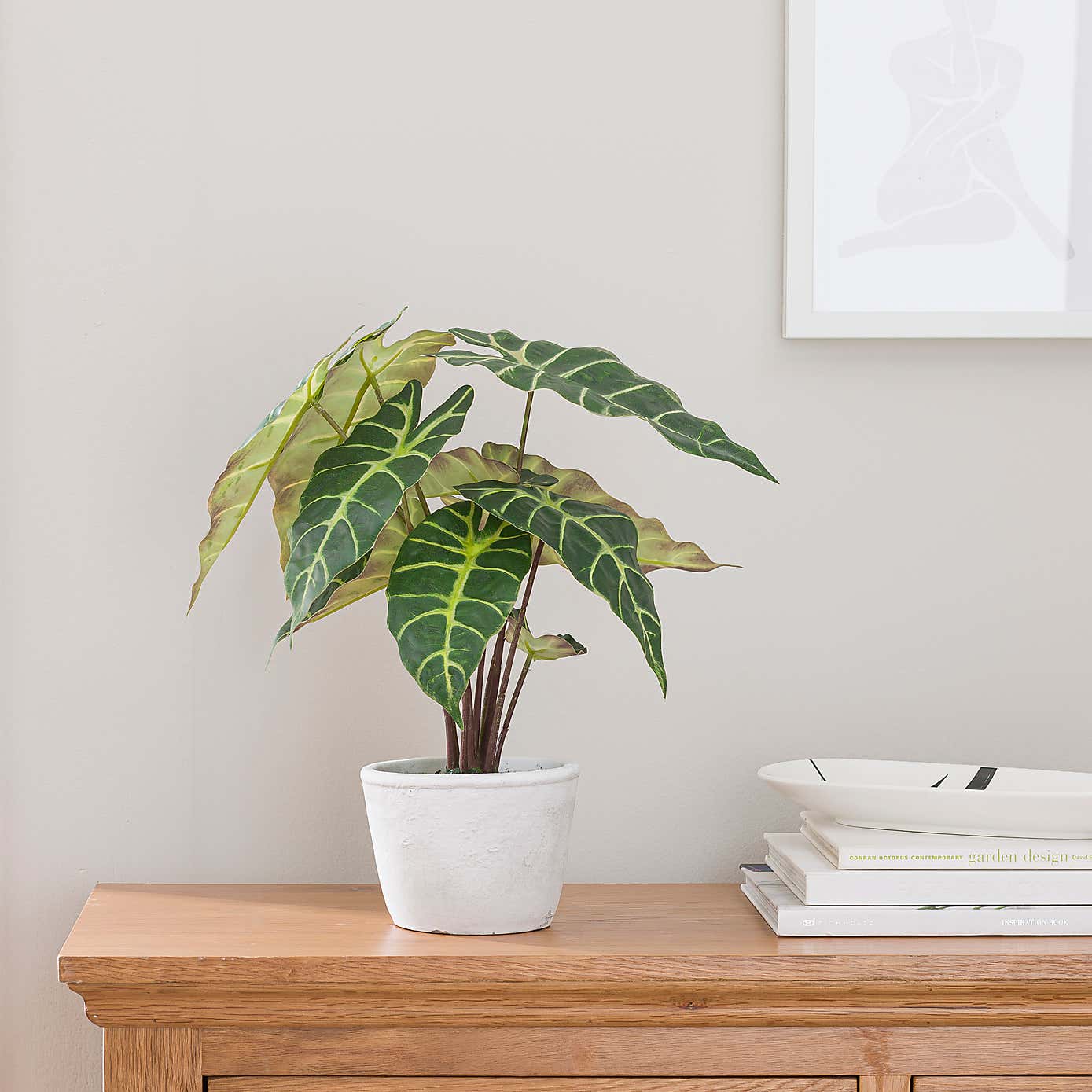 Artificial Alocasia Plant in White Cement Plant Pot