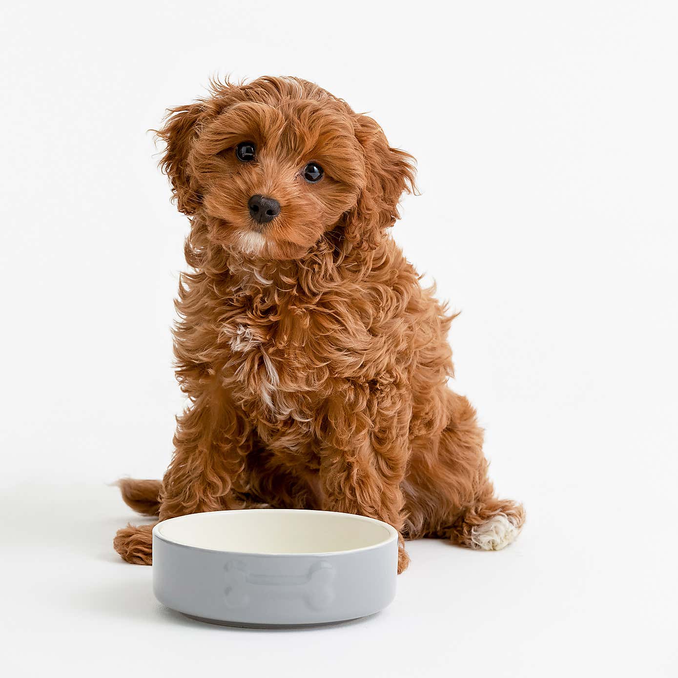 Mason Cash Set of 2 Bone Dog Bowls