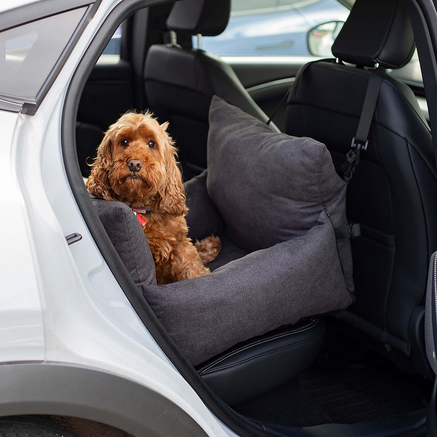 Rosewood Pet Car Seat