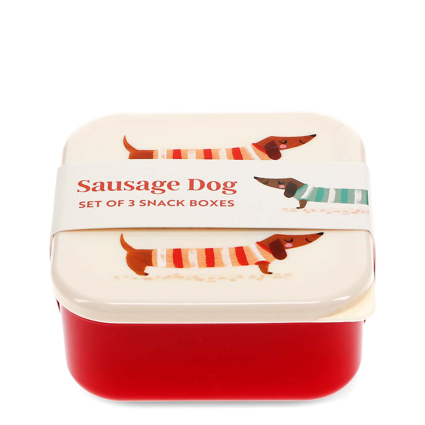 Adult Sausage Dog Boxes Set of 3