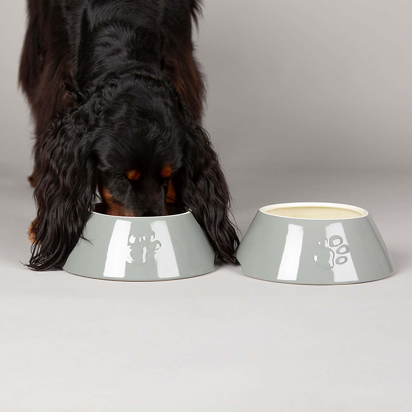 Scruffs Set of 2 Long Eared Dog Bowls