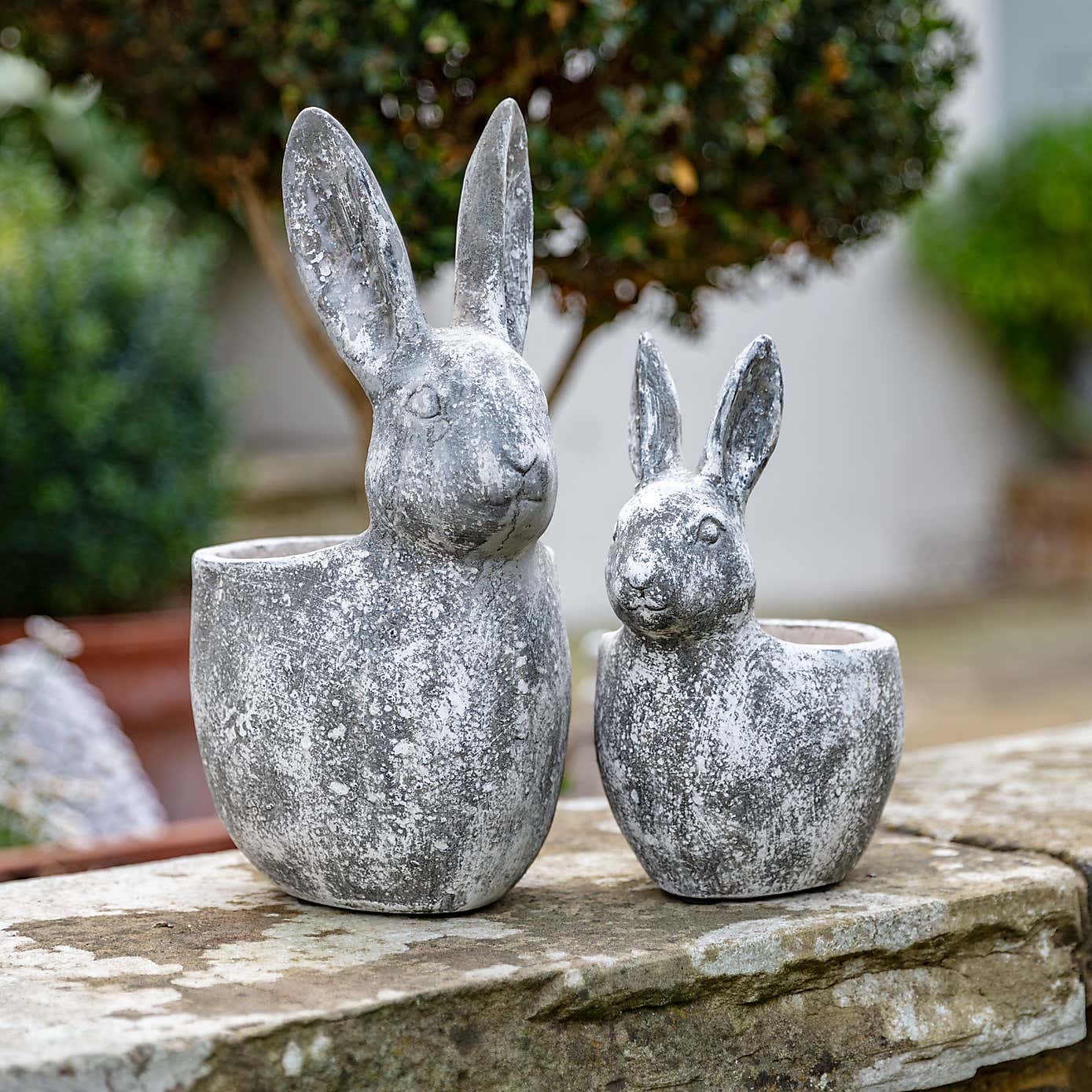 Bonington Bunny Cement Plant Pot