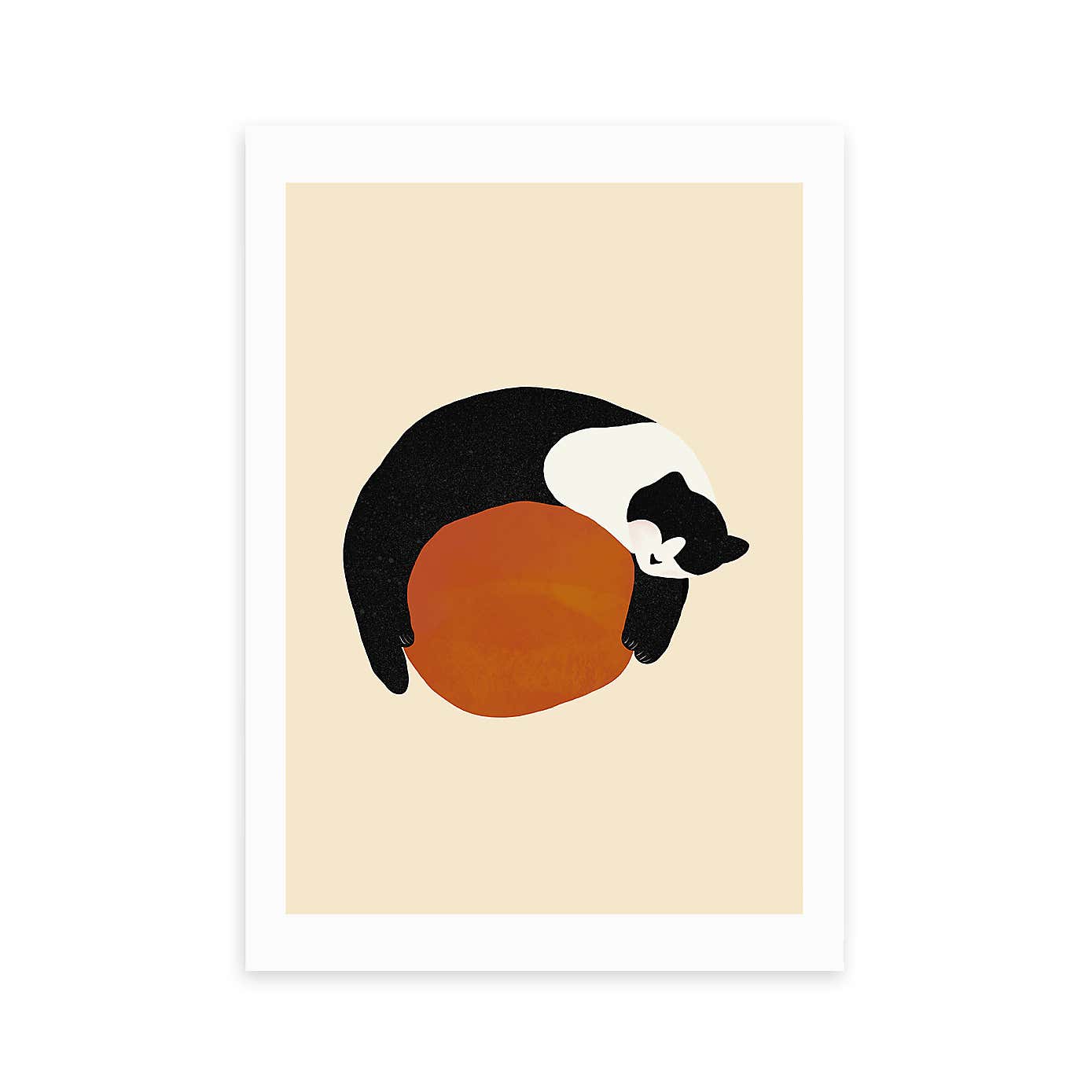 East End Prints Sleeping Cat Print by Sifa Mustafa