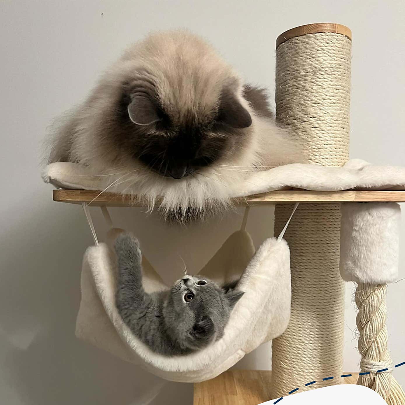 Lords and Labradors Cat Scratch Post Play Centre