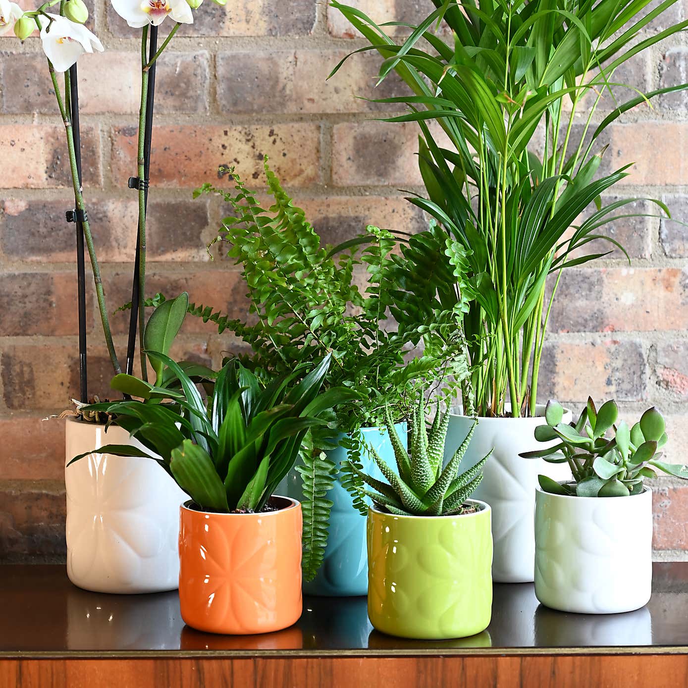 Navigate Carnaby Ceramic Embossed Pot