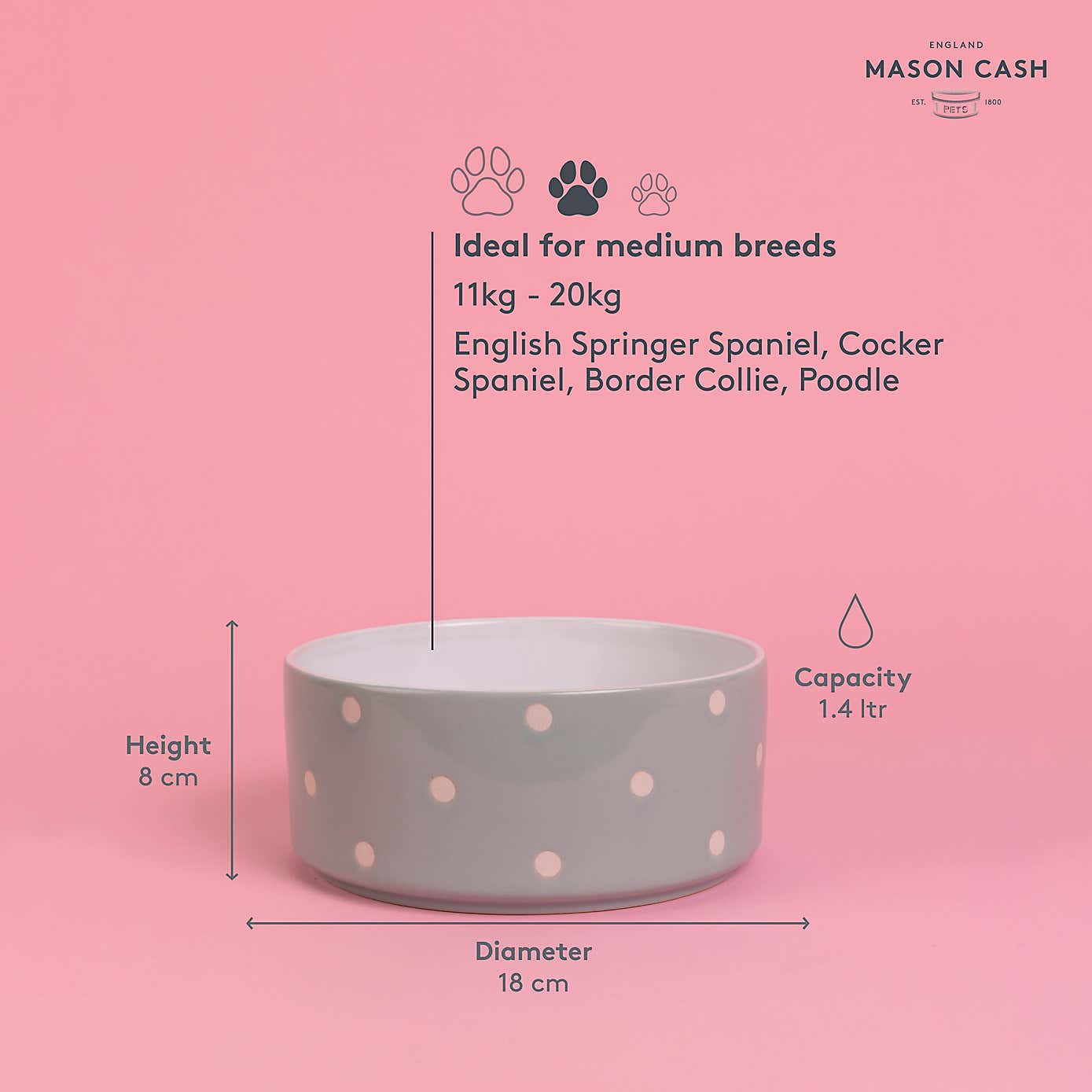 Mason Cash Set of 2 Spotty Pet Bowls
