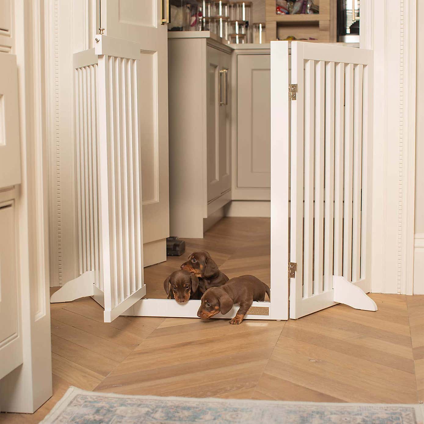 Lords and Labradors Wooden Dog Gate