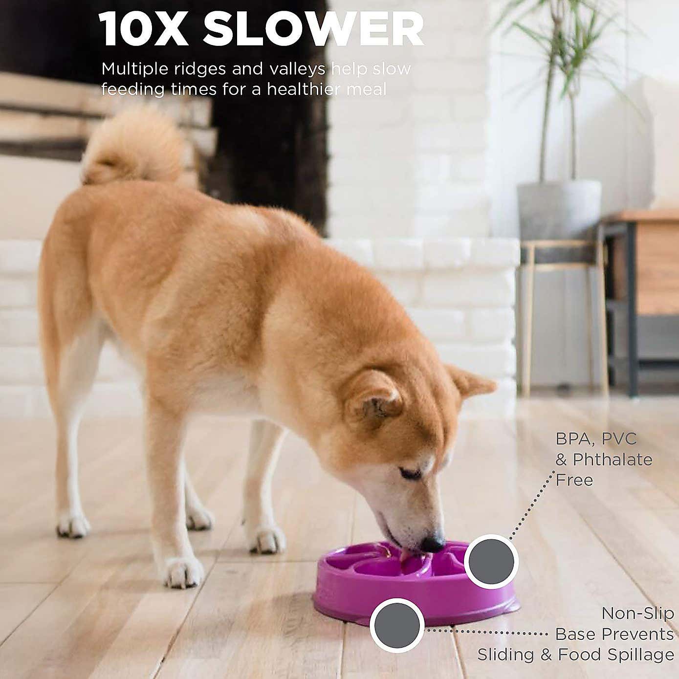 Rosewood Fun Feeder Flower Pet Bowl