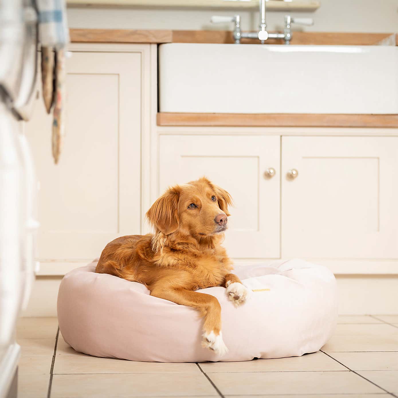Lords and Labradors Velvet Donut Dog Bed