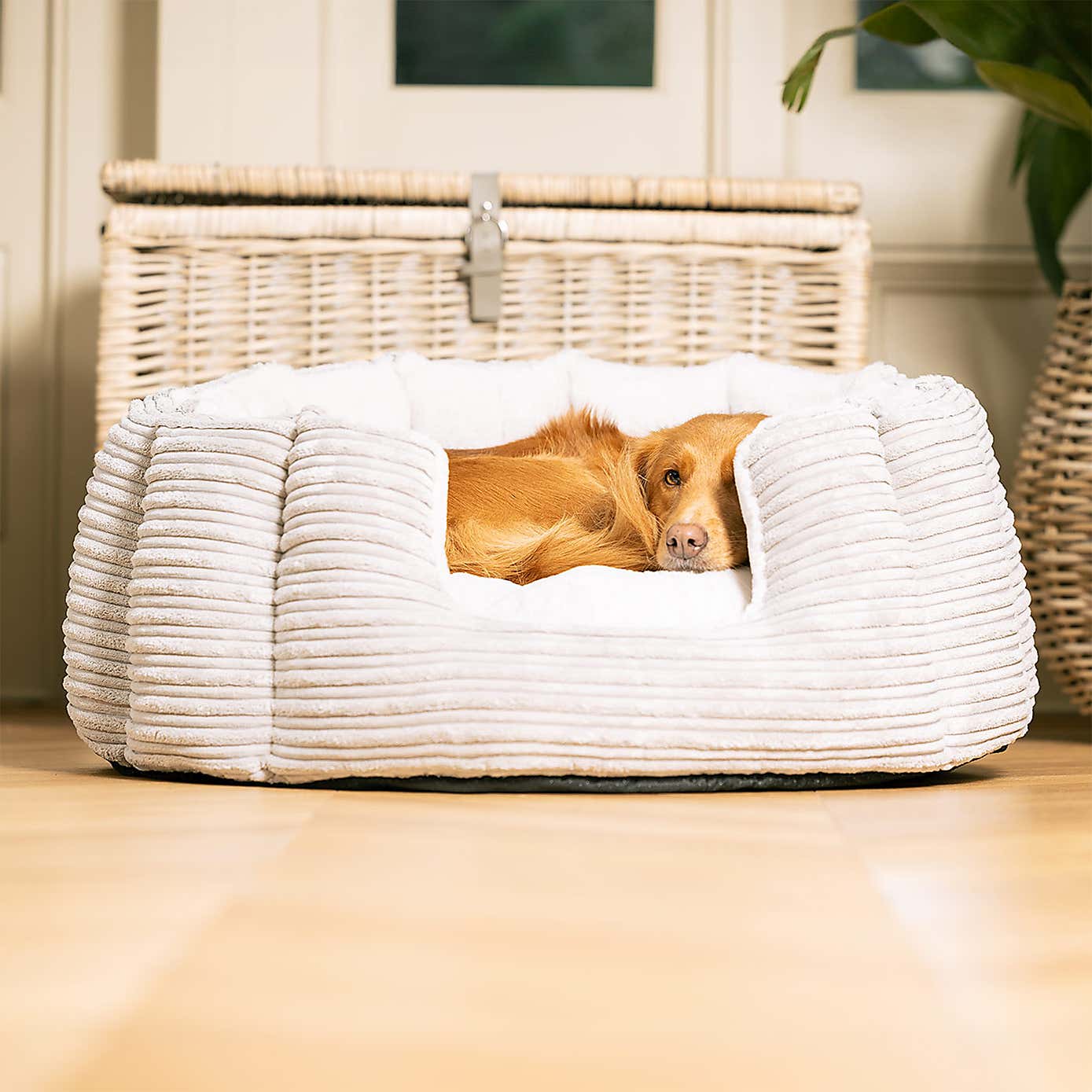 Lords and Labradors High Wall Dog Bed