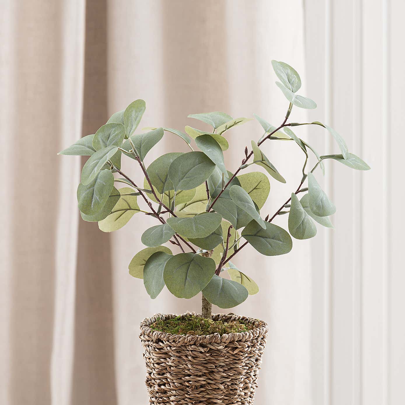 Artificial Small Eucalyptus Tree in Woven Plant Pot