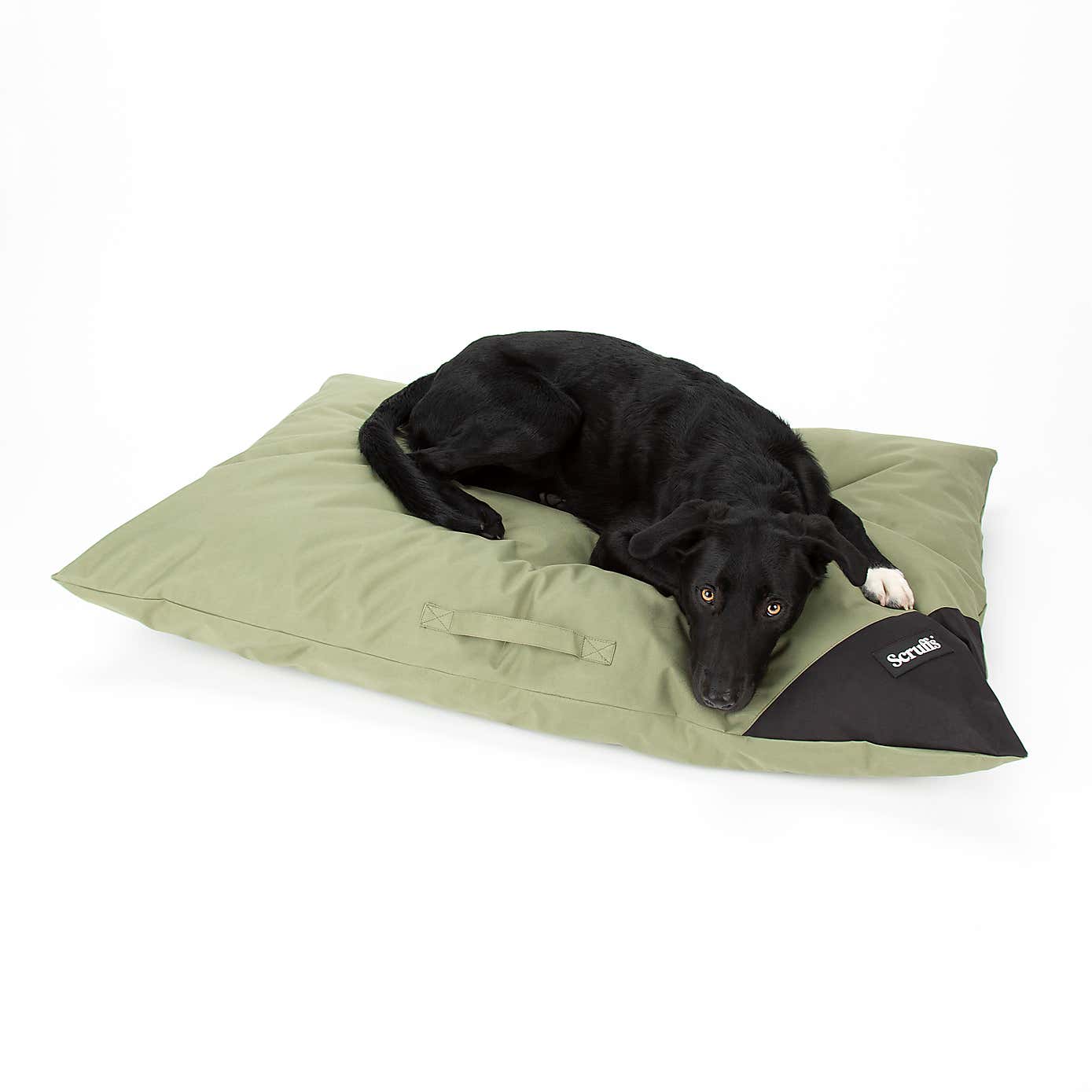 Scruffs Waterproof Expedition Memory Foam Dog Pillow