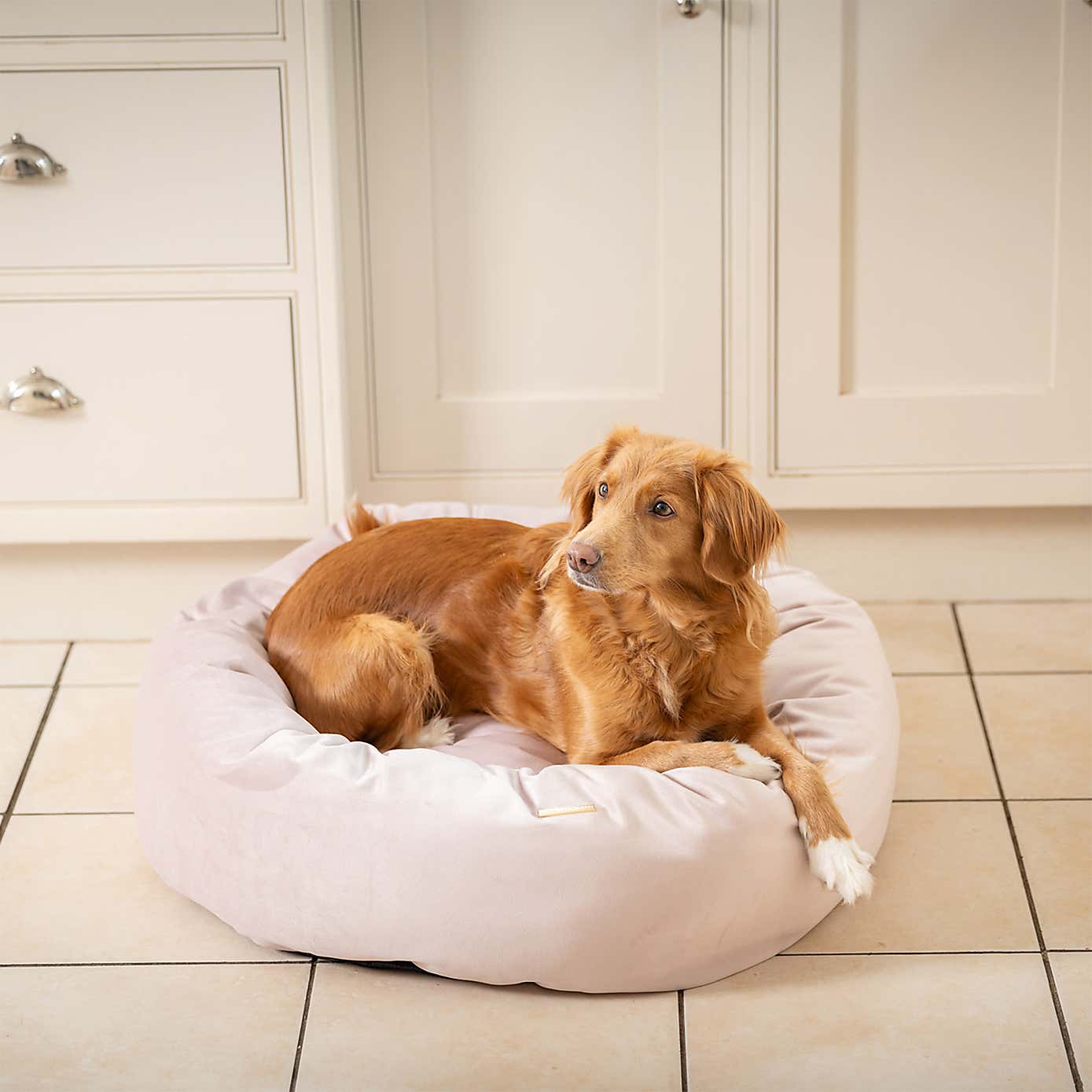 Lords and Labradors Velvet Donut Dog Bed