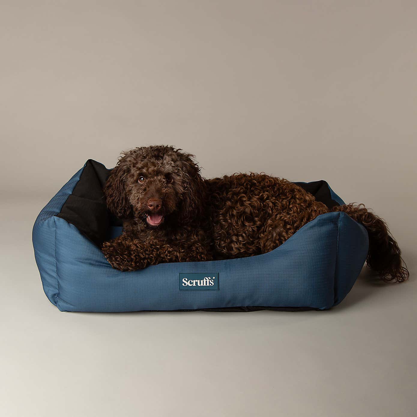 Scruffs Expedition Box Bed