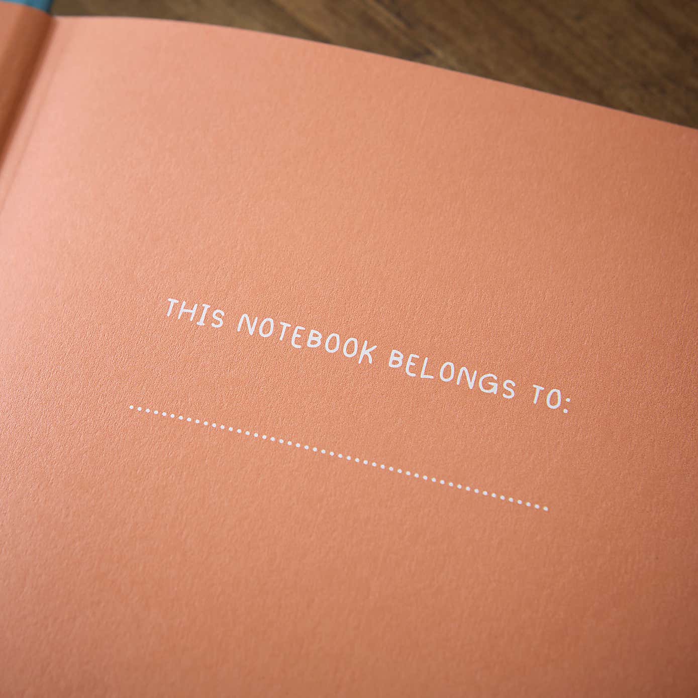 Age of Dinosaurs A5 Hardcover Notebook