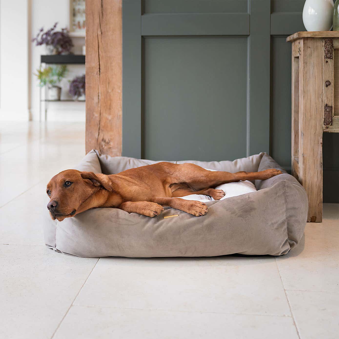 Lords and Labradors Velvet Box Dog Bed