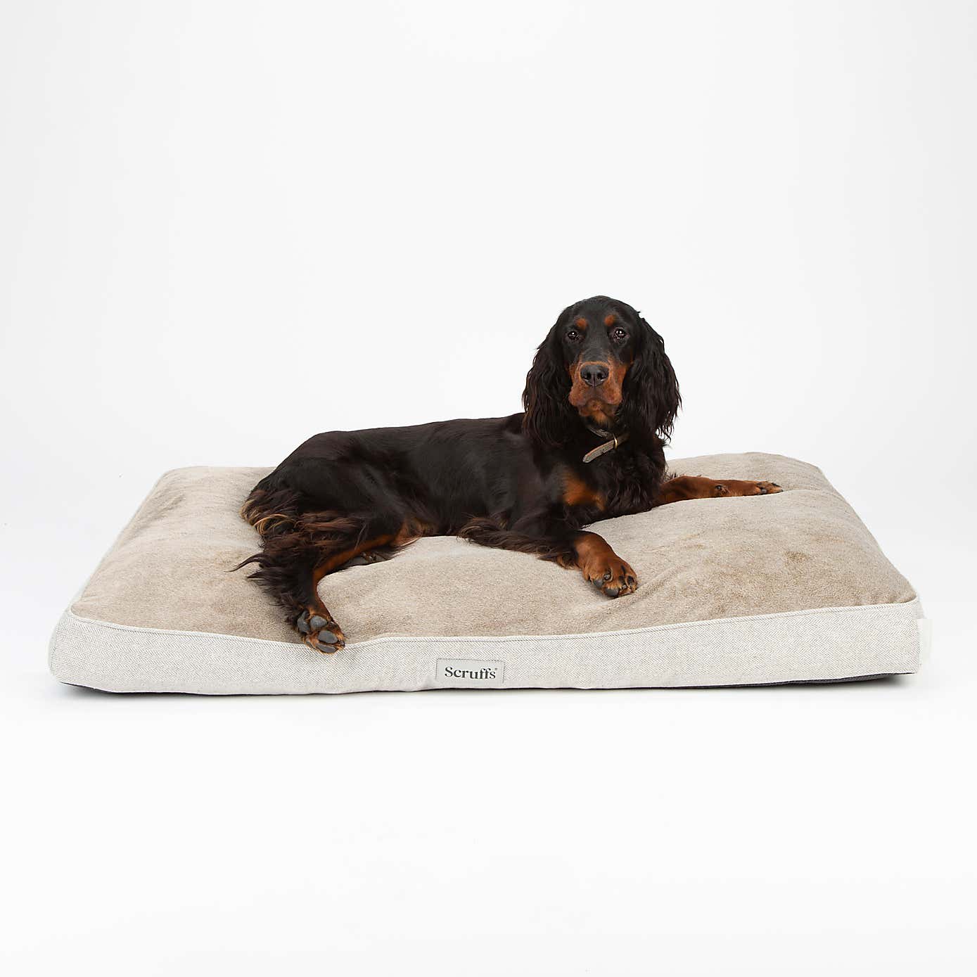 Scruffs Harvard Memory Foam Orthopaedic Mattress