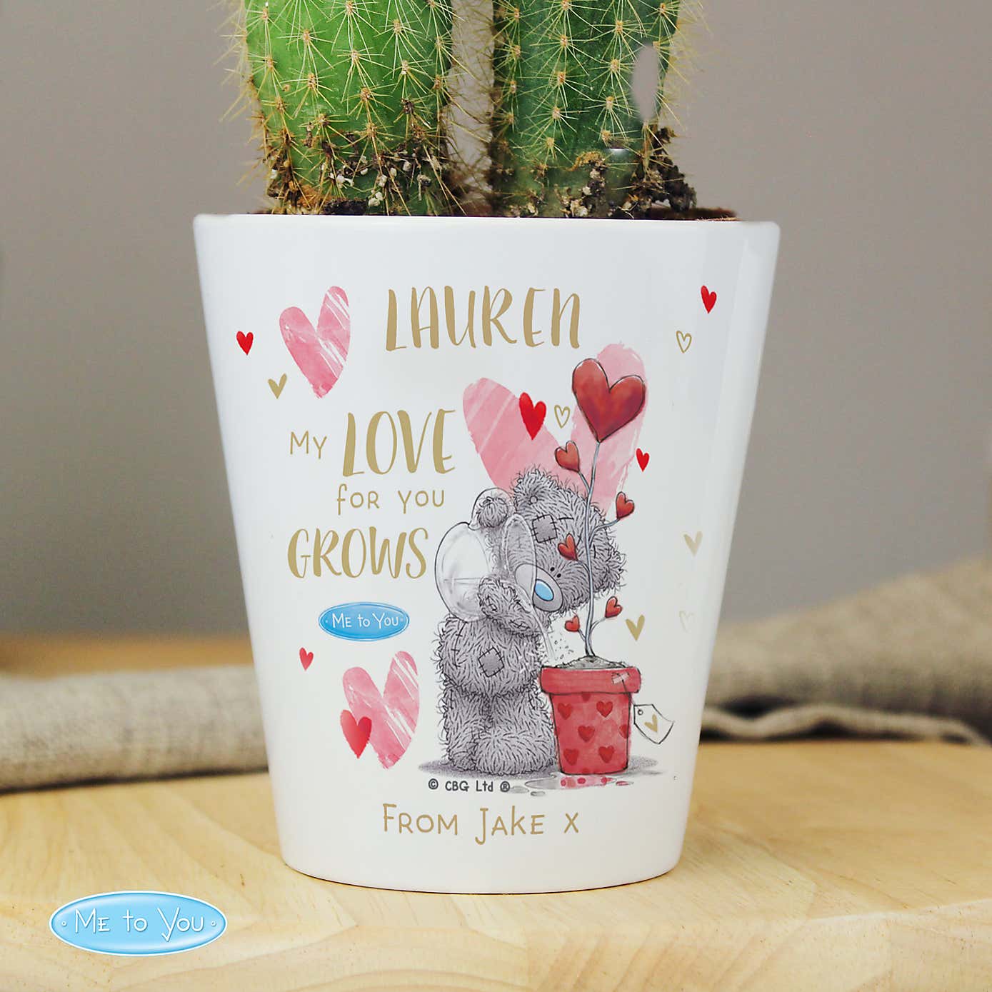 Personalised Me To You Hold You Forever Plant Pot
