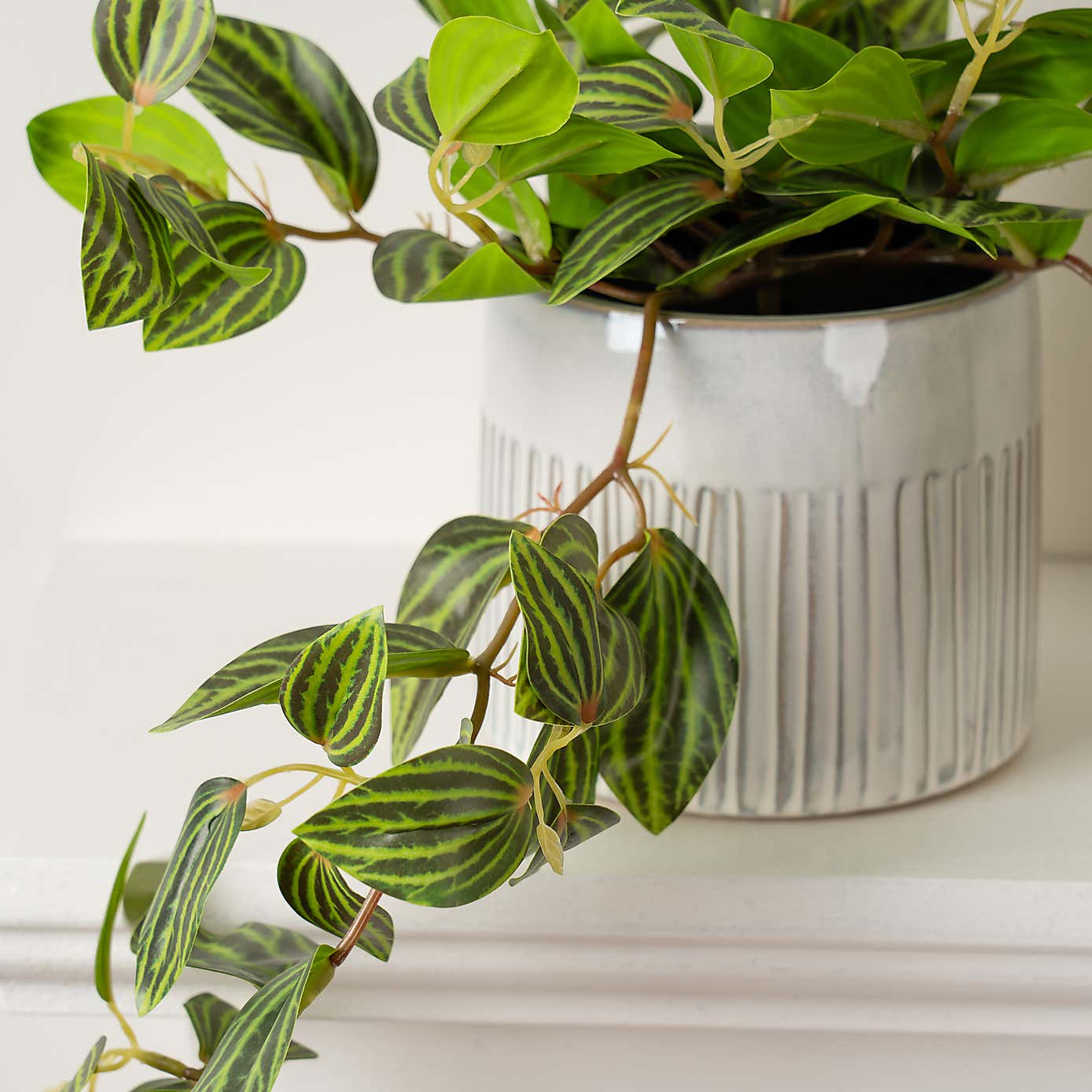 Artificial Green Trailing Plant in Black Plant Pot