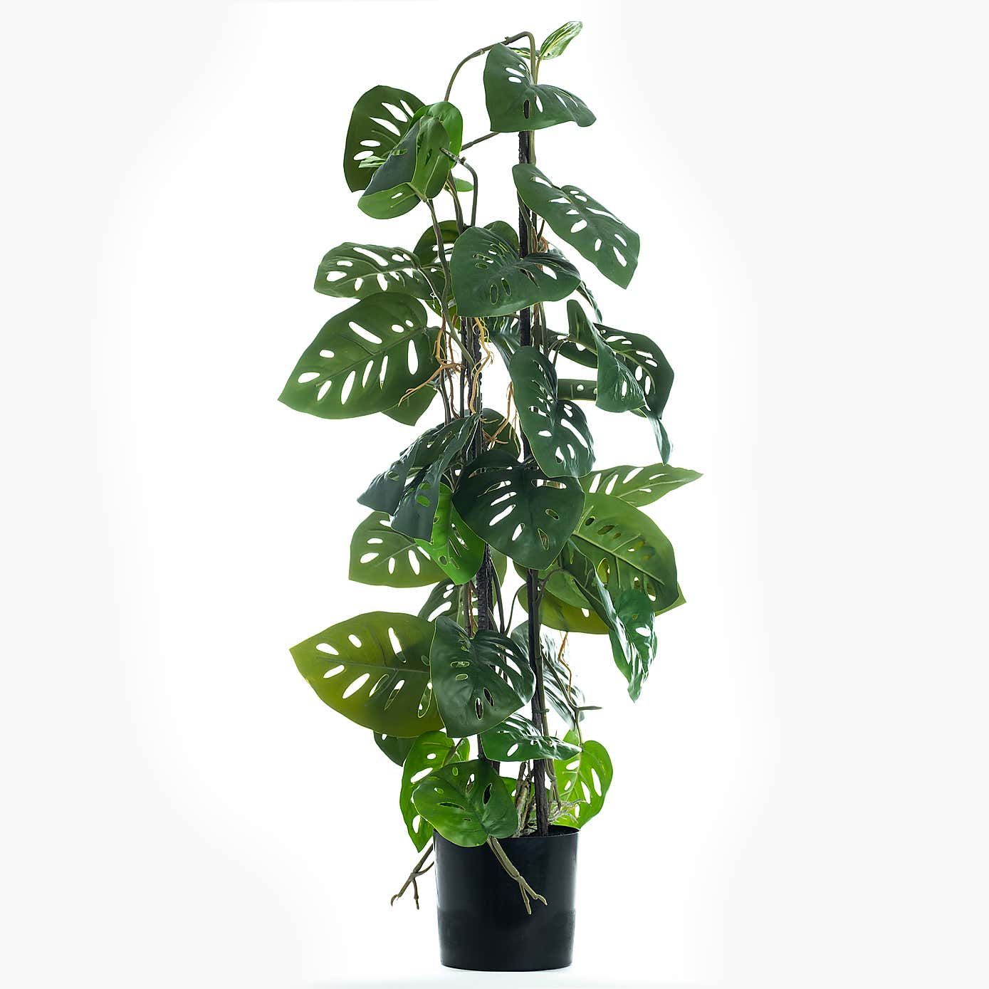 Artificial Monkey Mask Monstera Plant in Black Plastic Plant Pot