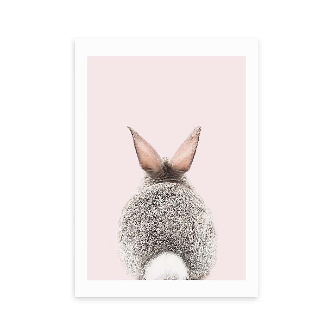 East End Prints Baby Bunny Tail Print