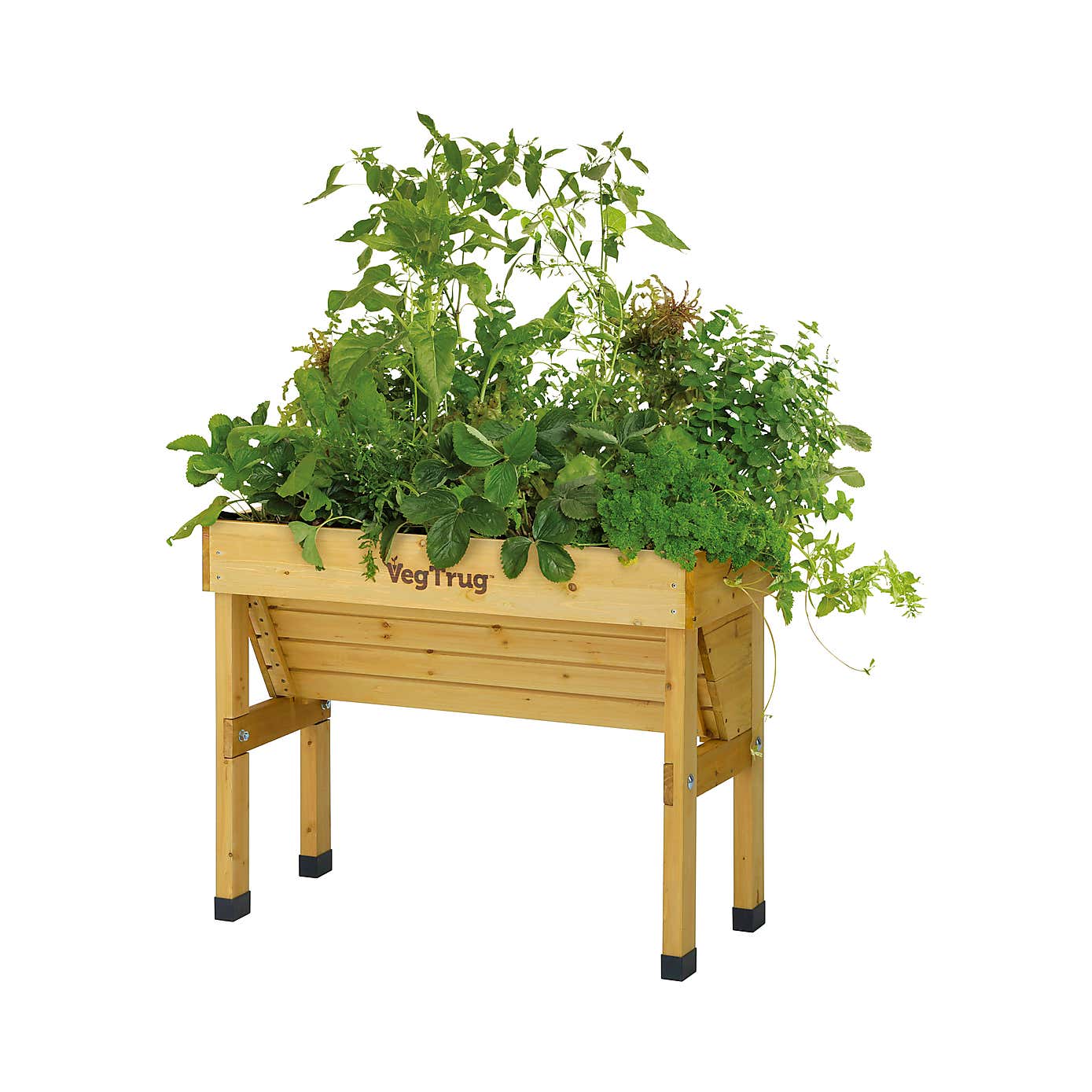 VegTrug Small Wall Hugger