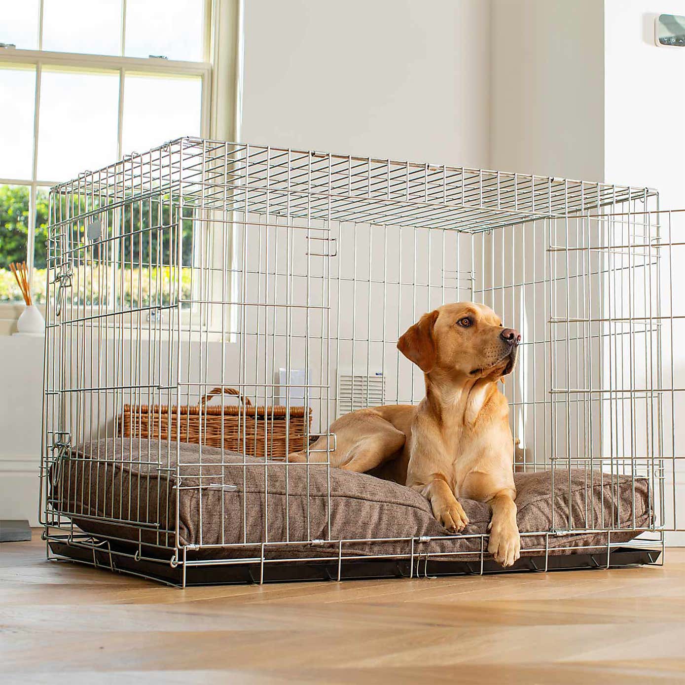 Lords and Labradors Inchmurrin Dog Cushion