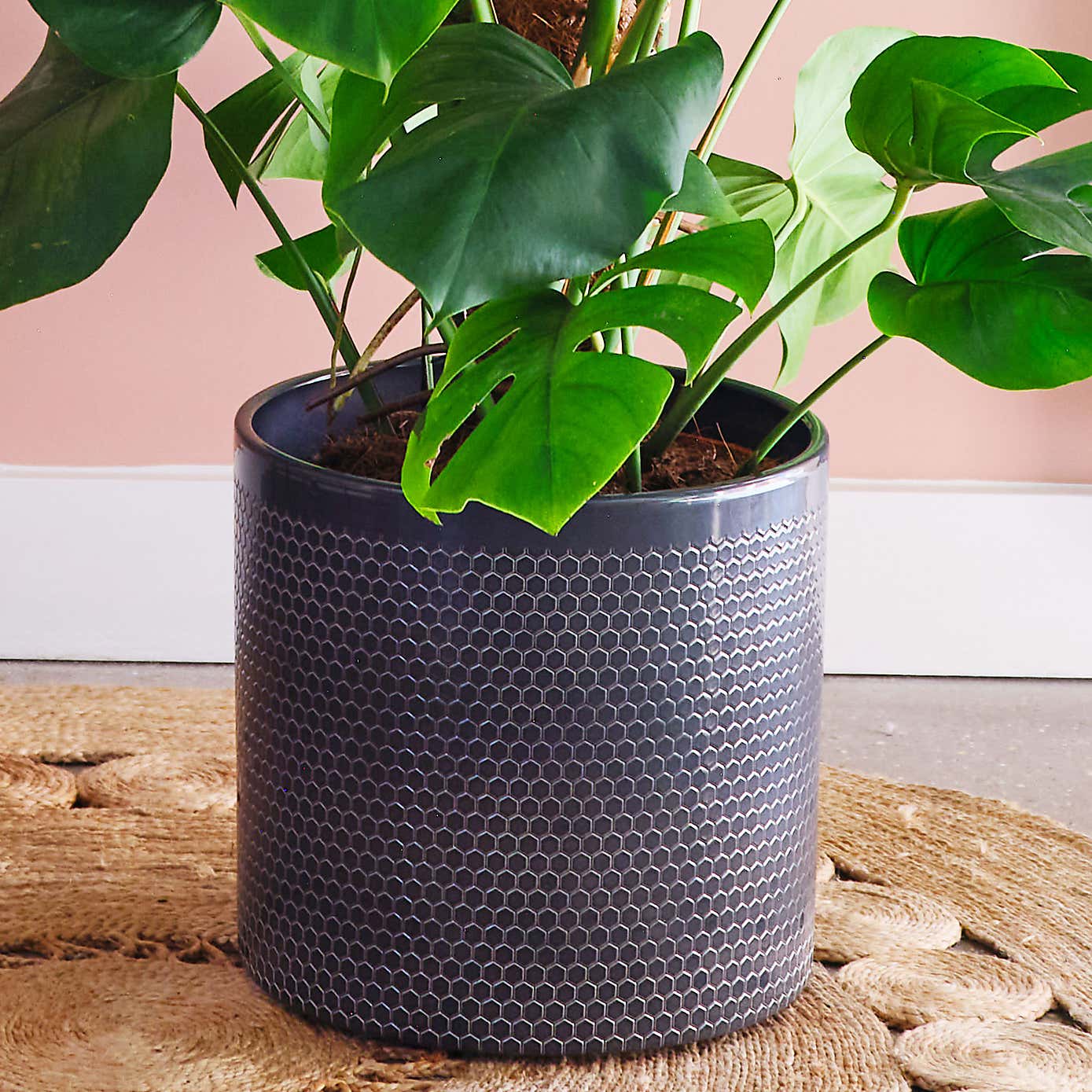 Beards and Daisies Capri Plant Pot