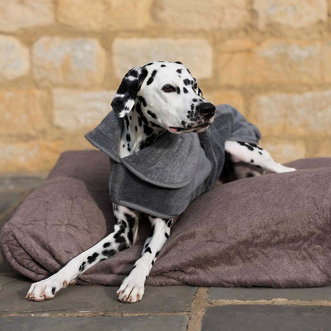 Lords and Labradors Bamboo Dog Drying Cushion Cover