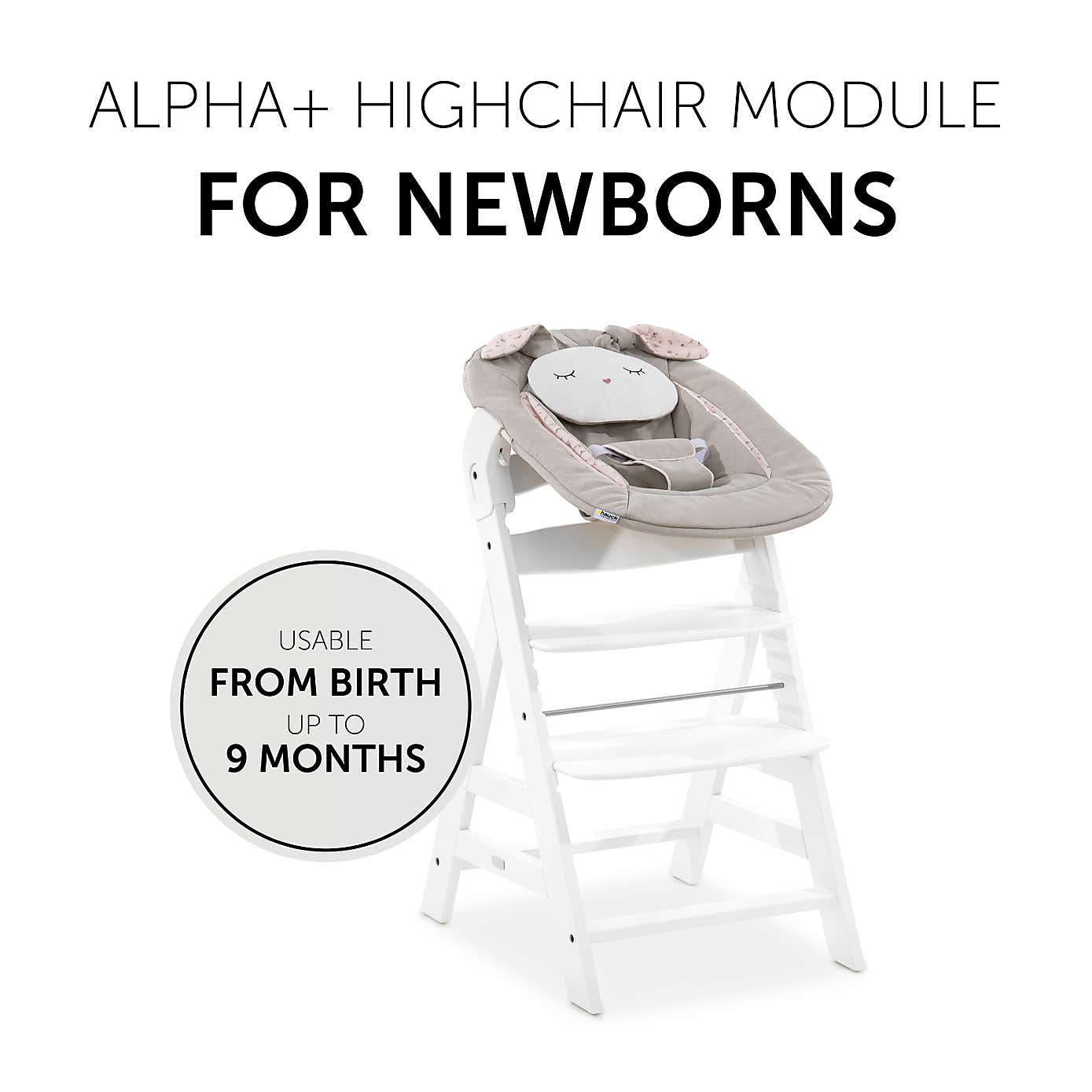 hauck Alpha 2 in 1 Bouncer