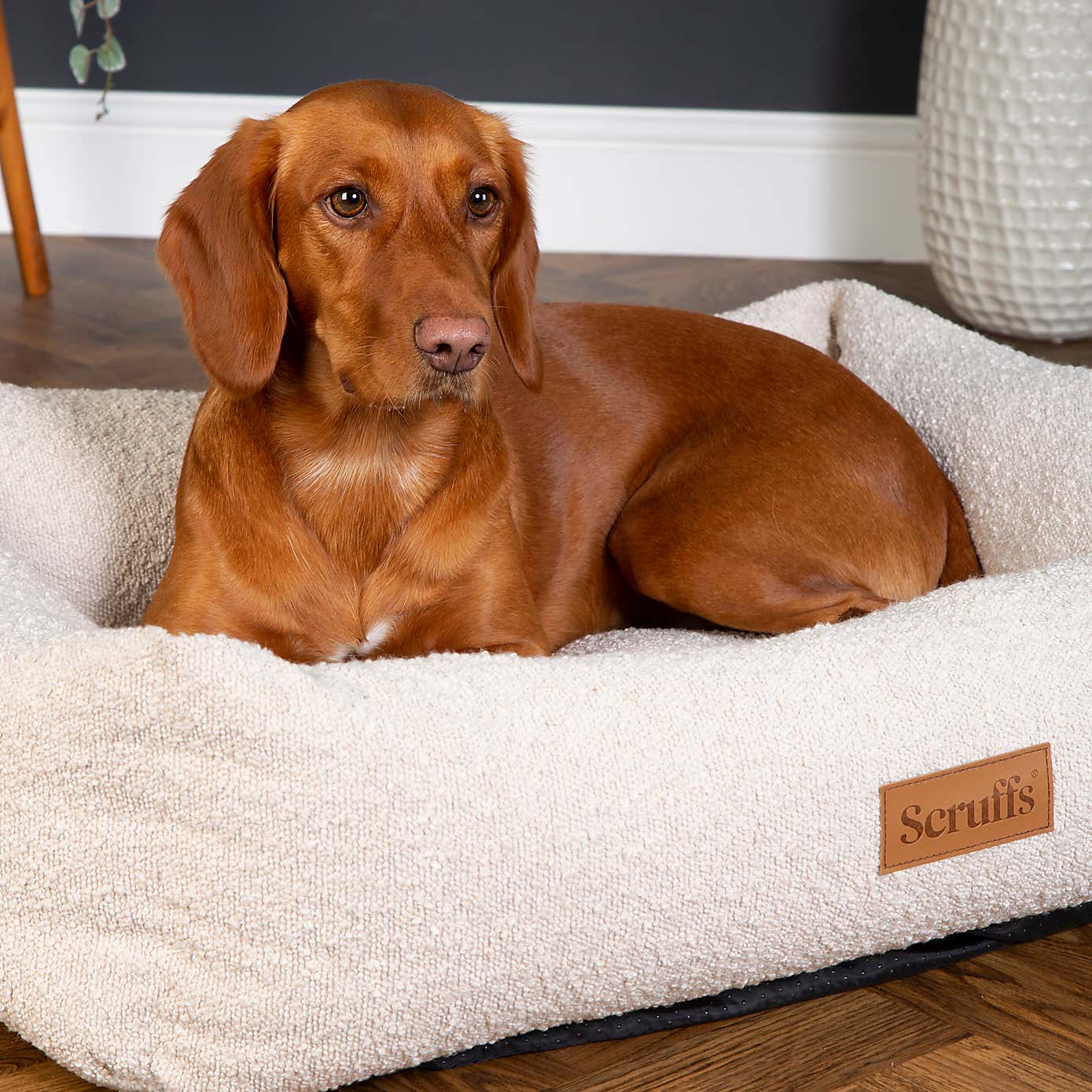 Scruffs Boucle Box Bed