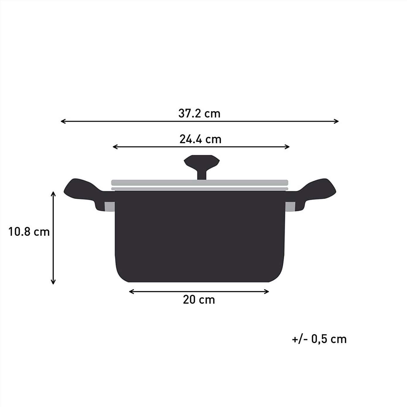 Tefal Titanium Force Stew Pot, 24cm