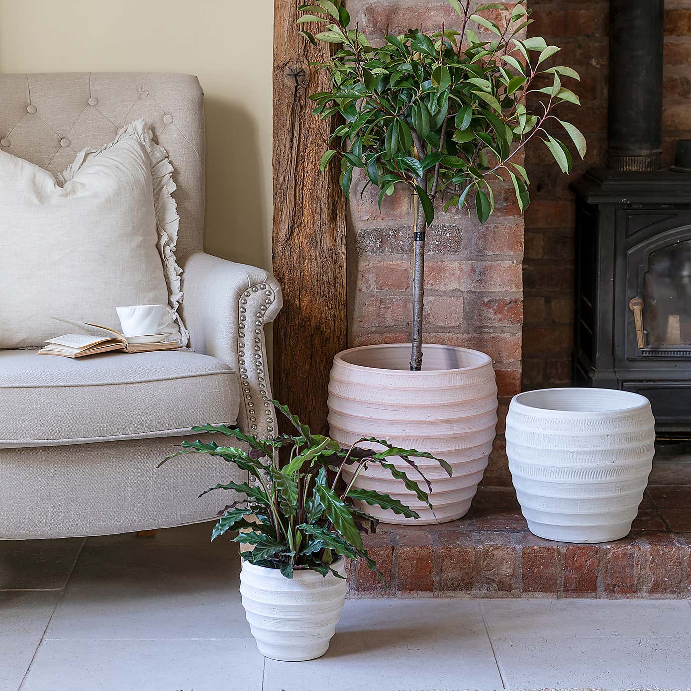 Beatrice Terracotta Plant Pot