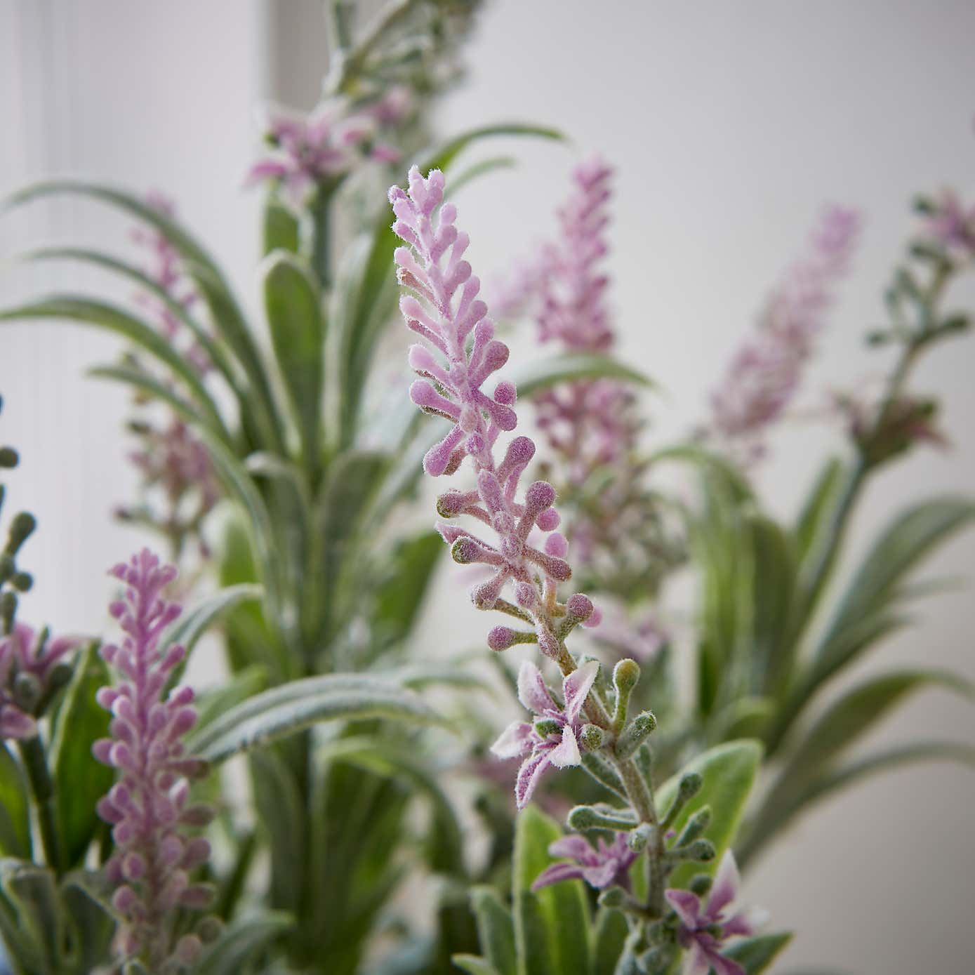 Artificial Salvia in Grey Cement Pot