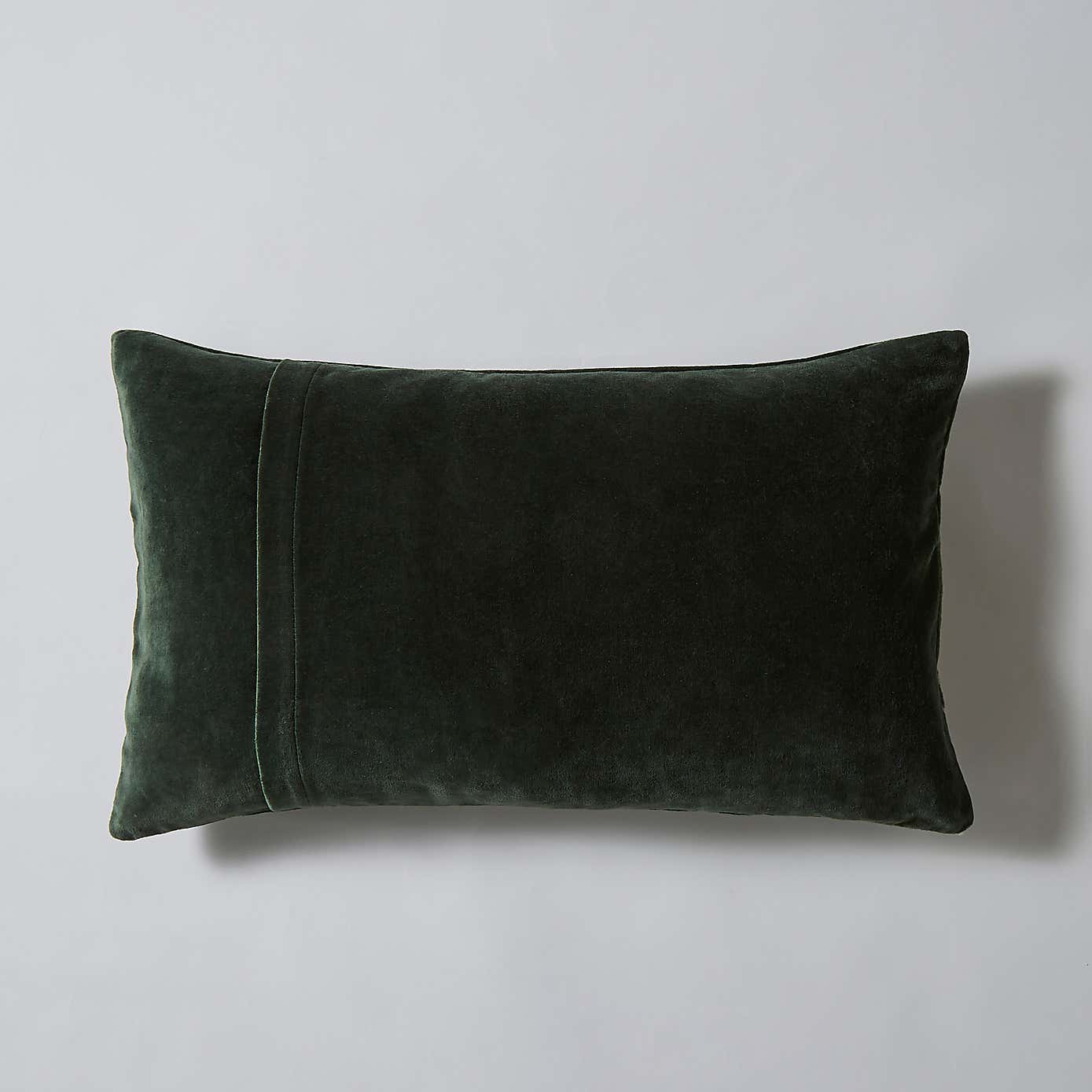 Emperor Moth Cushion