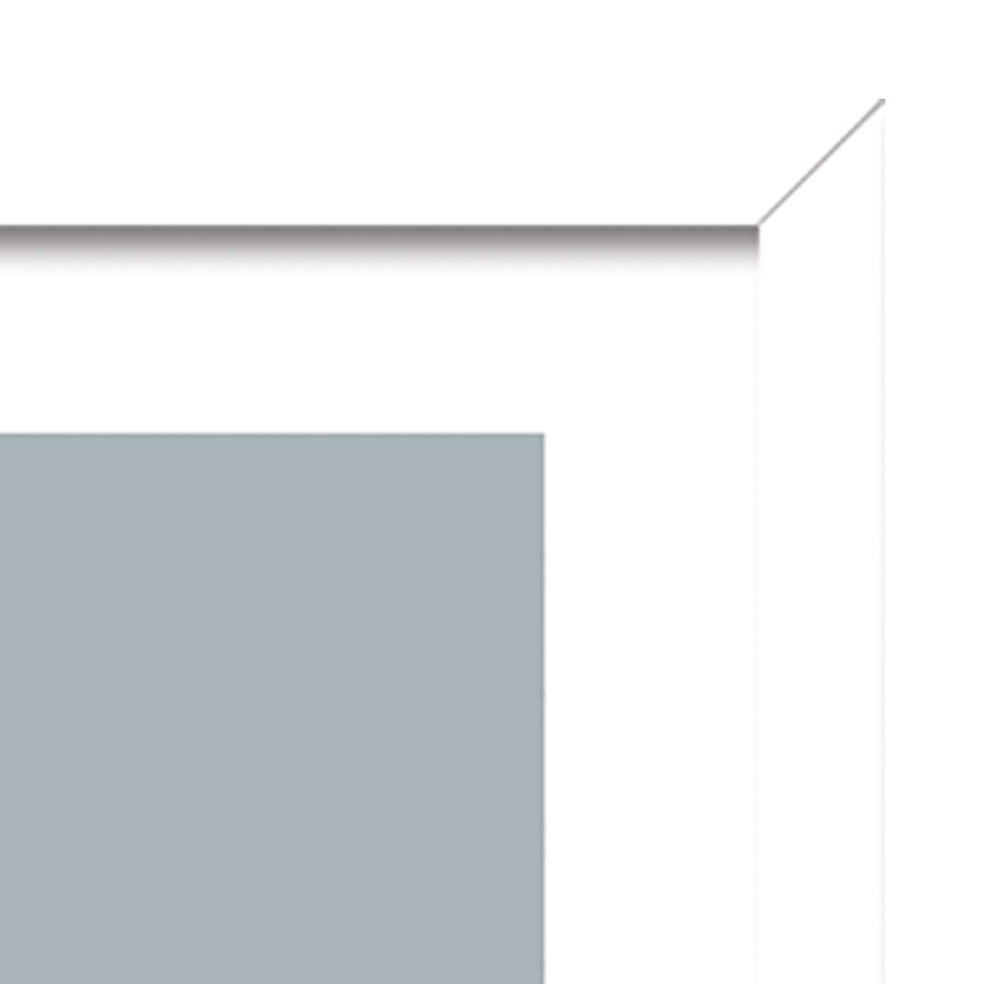 The Art Group Lion Framed Print