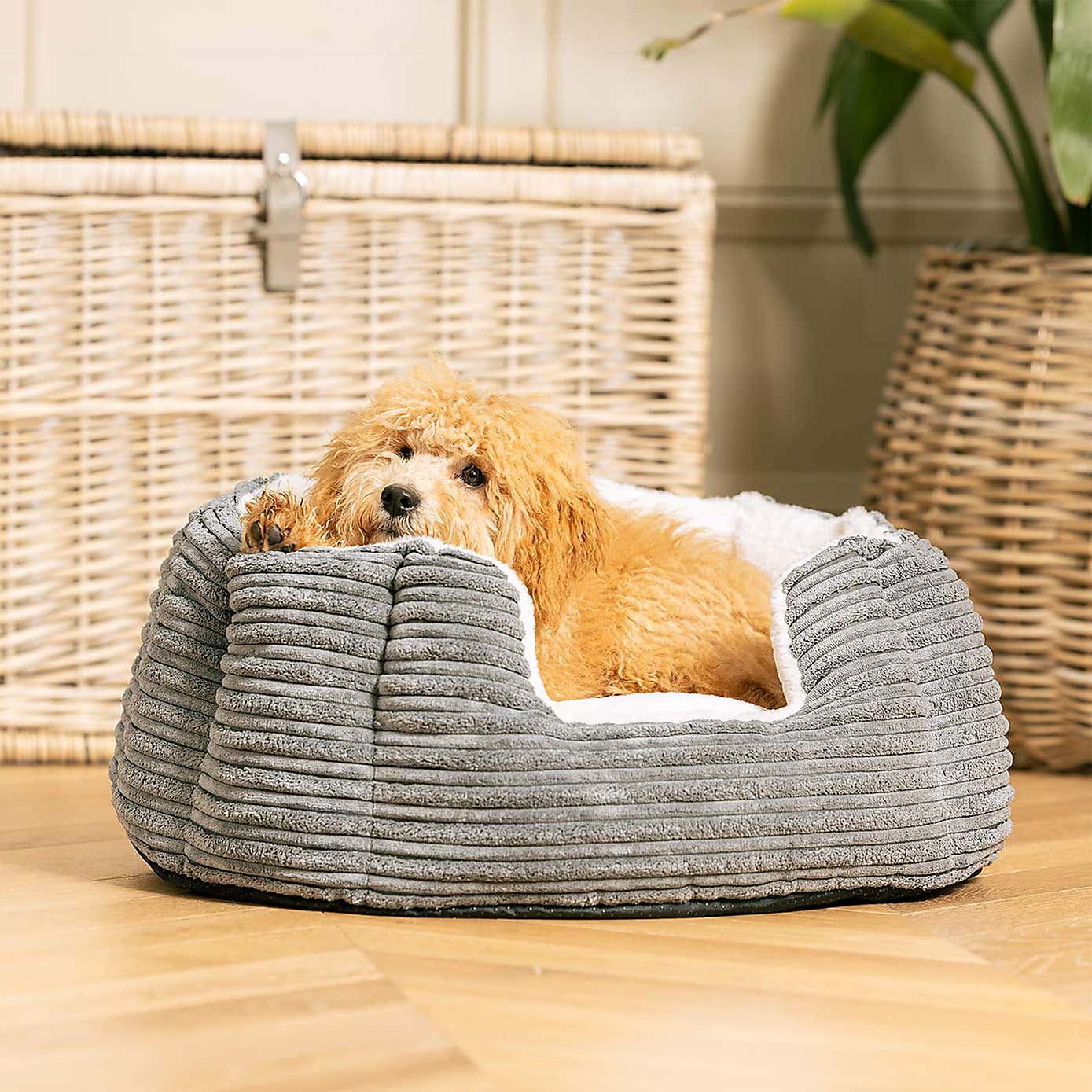 Lords and Labradors High Wall Dog Bed