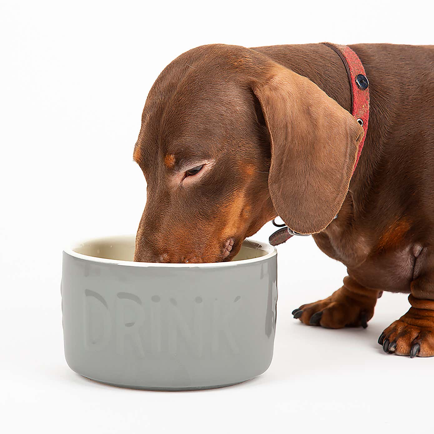Scruffs Set of 2 Flat Faced Dog Bowls