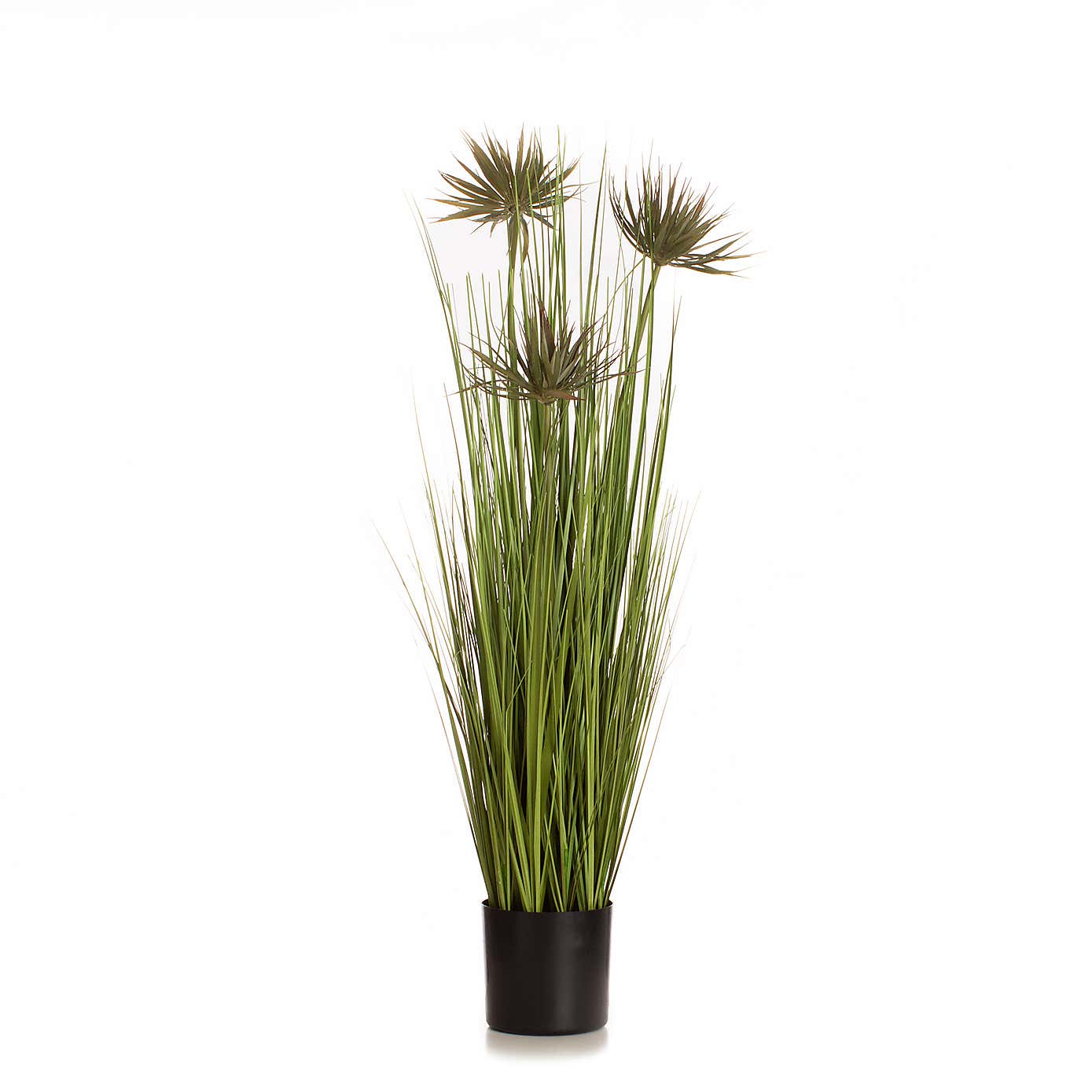 Artificial Papyrus Plant in Black Plastic Plant Pot