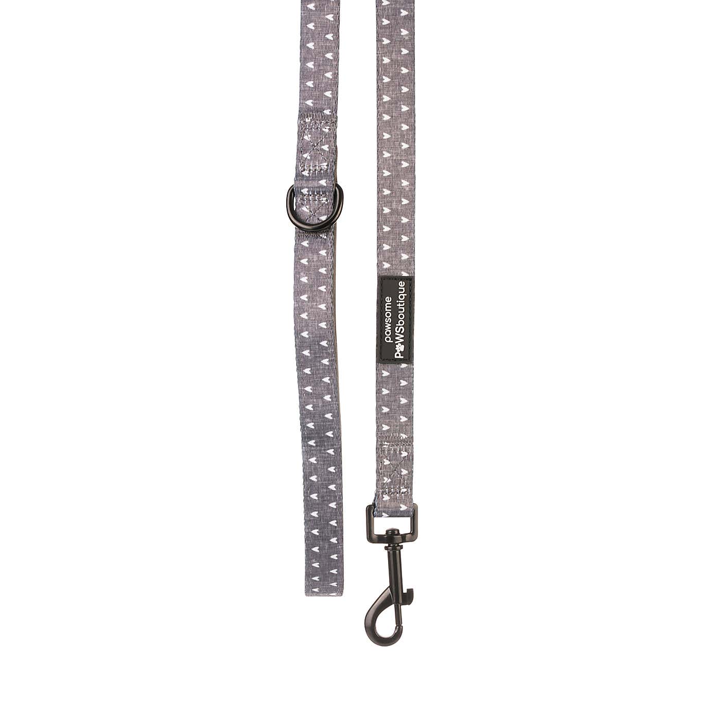 Blackjack Dog Collar and Lead Set