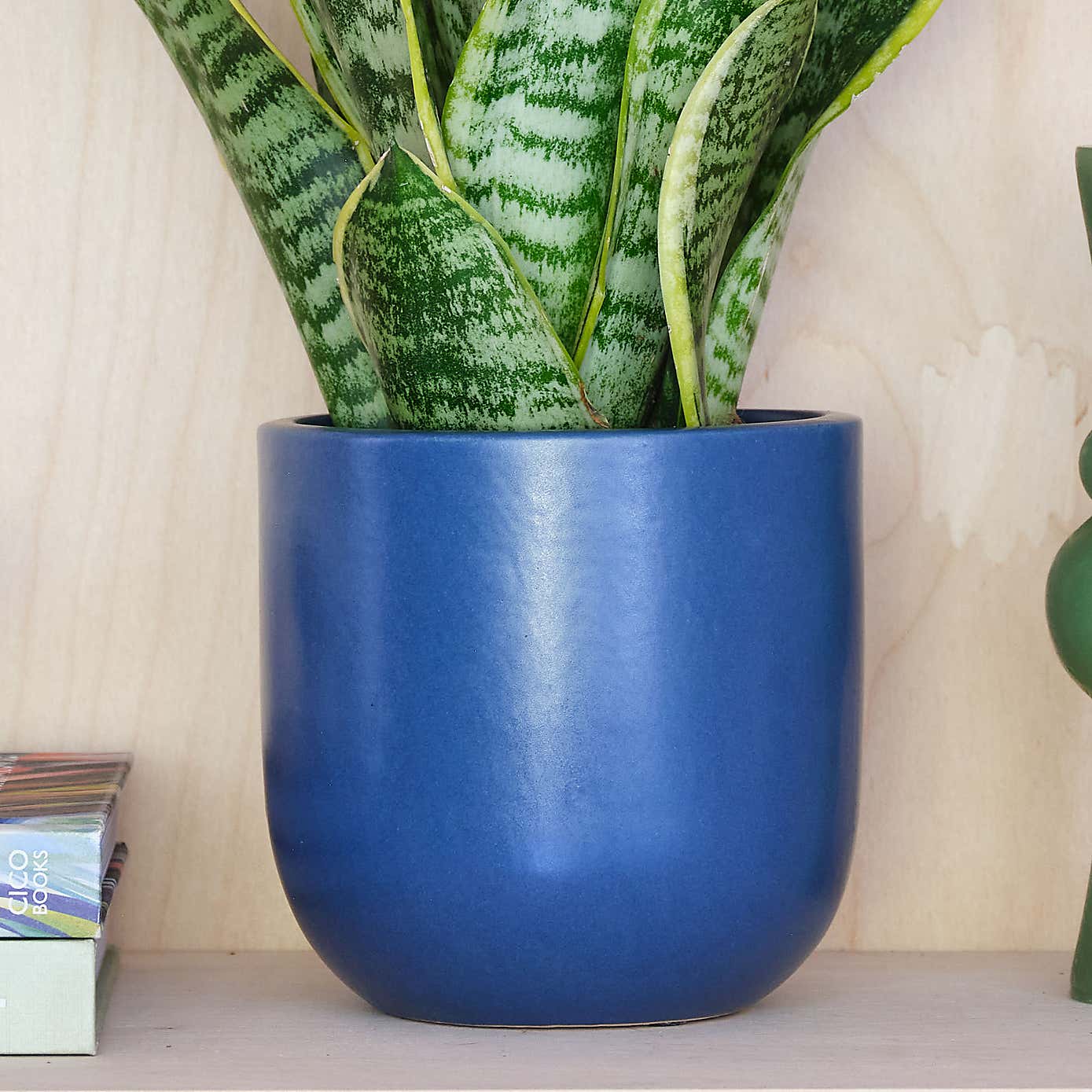 Beards and Daisies Earthenware Plant Pot