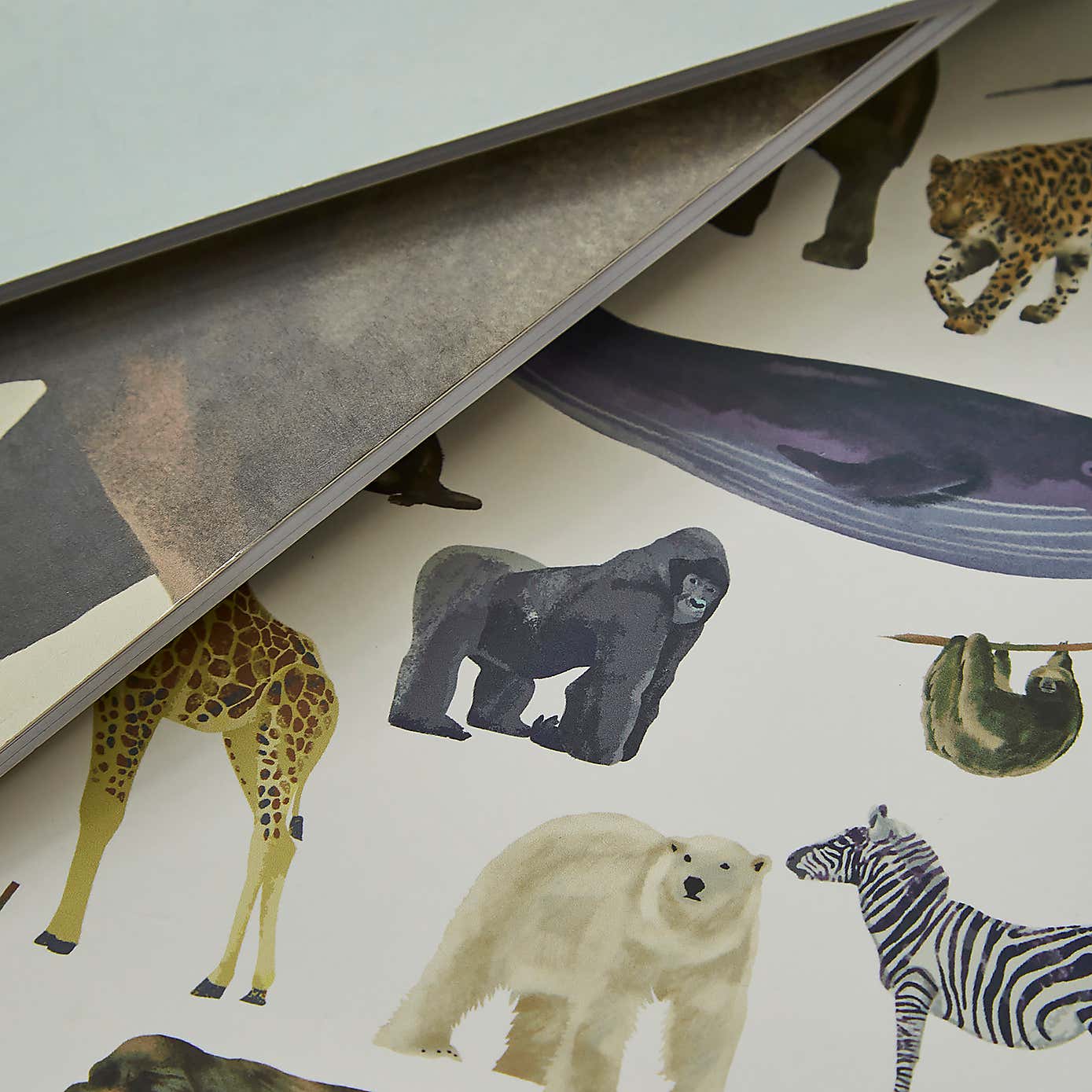 Set of 3 Mammals Softcover Notebooks