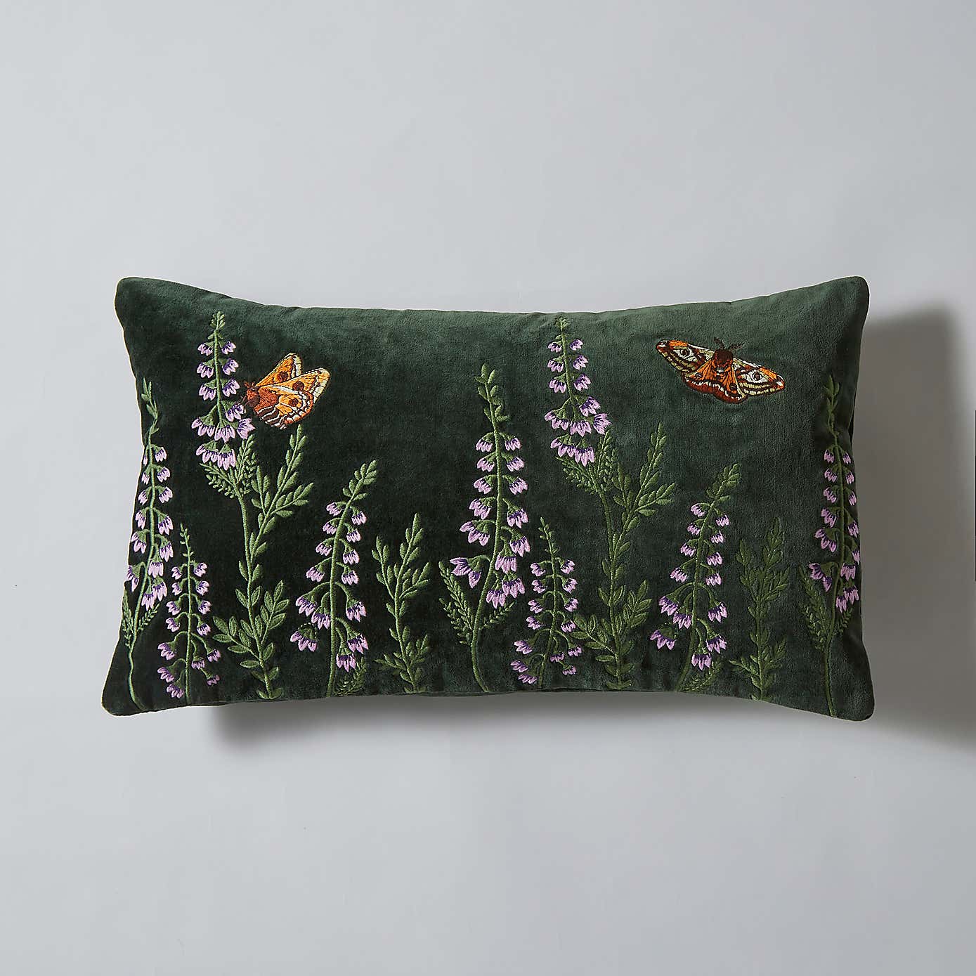 Emperor Moth Cushion
